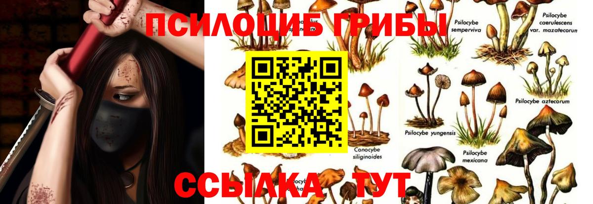 Пенза  купить наркотики сайты  Вход с VPN  Галлюциногенные грибы Cubensis 